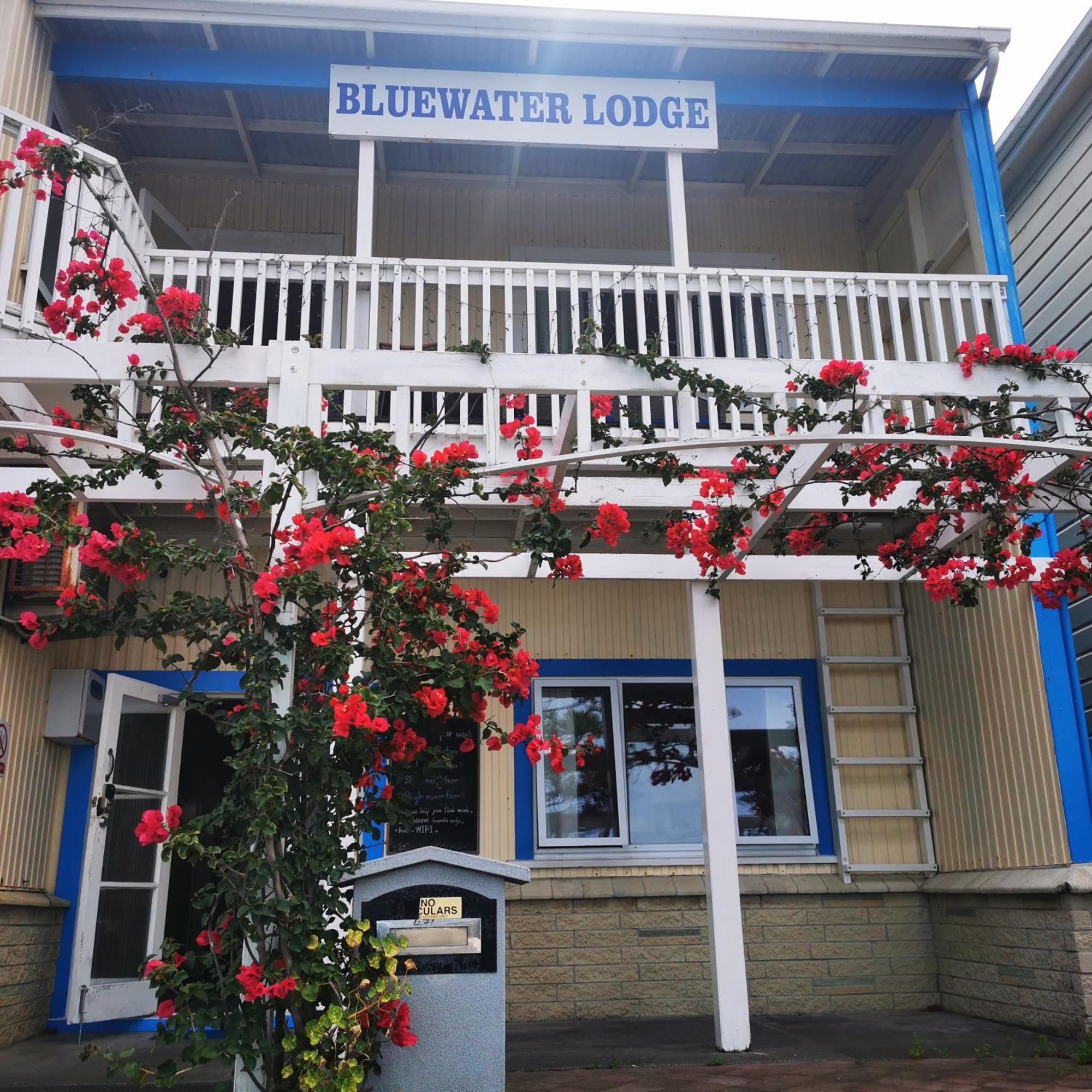 Bluewater Lodge 네이피어 외부 사진